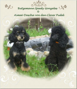 Aimee Dascha und Butz Speedy Gonzales