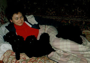 Welpen von unserem Wurf in Jalta, Krim. Meine Mama liegt mit den Pudelwelpen zusammen im Bett. :-)